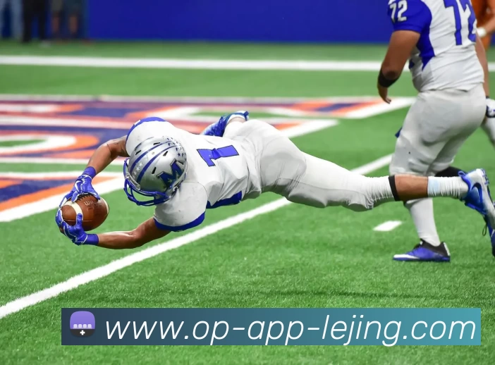 乐竞体育官网发展历程